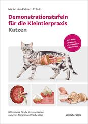 Demonstrationstafeln f&uuml;r die Kleintierpraxis Katzen