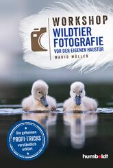 Workshop Wildtierfotografie vor der eigenen Haust&uuml;r