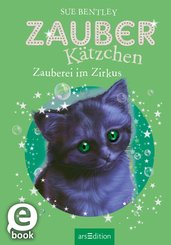 Zauberkätzchen - Zauberei im Zirkus (eBook, ePUB)