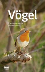 V&ouml;gel
