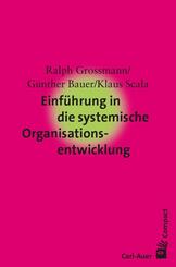 Einf&uuml;hrung in die systemische Organisationsentwicklung
