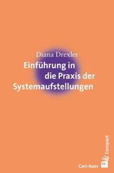 Einf&uuml;hrung in die Praxis der Systemaufstellungen