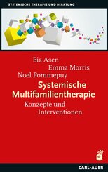 Systemische Multifamilientherapie