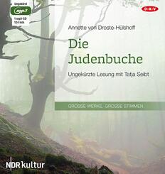 Die Judenbuche,1 Audio-CD, 1 MP3