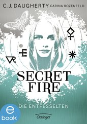 Secret Fire. Die Entfesselten (eBook, ePUB)