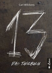 Dreizehn. Das Tagebuch. Band 1 (eBook, PDF)