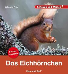 Das Eichh&ouml;rnchen