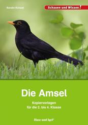 Die Amsel - Kopiervorlagen f&uuml;r die 2. bis 4. Klasse