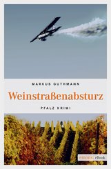 Weinstraßenabsturz (eBook, ePUB)