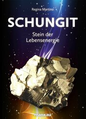 Schungit - Stein der Lebensenergie (eBook, ePUB)