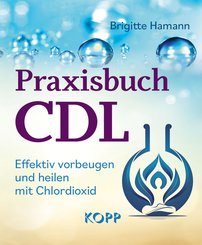 Praxisbuch CDL (eBook, ePUB)