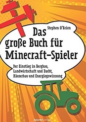 Das große Buch für Minecraft-Spieler