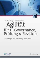 Agilit&auml;t f&uuml;r IT-Governance, Pr&uuml;fung & Revision