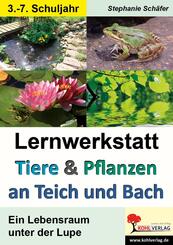 Lernwerkstatt Tiere und Pflanzen an Teich und Bach