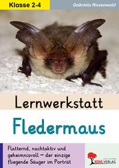 Lernwerkstatt Die Fledermaus