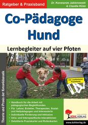 Co-P&auml;dagoge Hund, m. CD-ROM