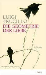 Die Geometrie der Liebe (eBook, ePUB)