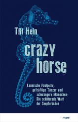 Crazy Horse (eBook, ePUB)