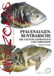 Pfauenaugen-Buntbarsche