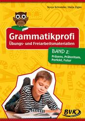 Grammatikprofi: &Uuml;bungs- und Freiarbeitsmaterialien.Bd.2