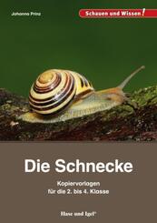 Die Schnecke - Kopiervorlagen f&uuml;r die 2. bis 4. Klasse