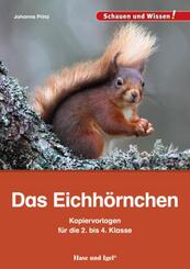Das Eichh&ouml;rnchen - Kopiervorlagen f&uuml;r die 2. bis 4. Klasse