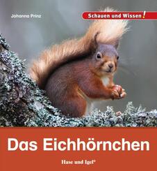 Das Eichh&ouml;rnchen