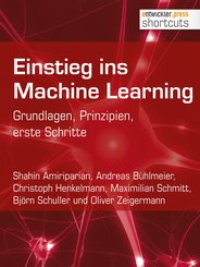 Einstieg ins Machine Learning (eBook, ePUB)