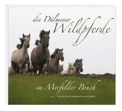 Die D&uuml;lmener Wildpferde im Merfelder Bruch
