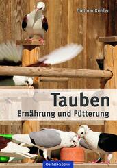 Tauben - Ern&auml;hrung und F&uuml;tterung