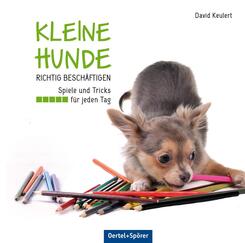 Kleine Hunde richtig besch&auml;ftigen