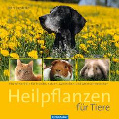Heilpflanzen f&uuml;r Tiere