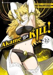 Akame ga KILL!.Bd.12