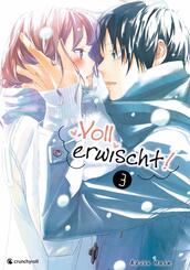 Voll erwischt!. Bd.3 - Bd.3