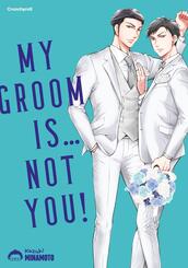 My Groom Is ... Not You!