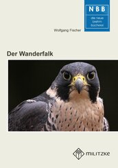 Der Wanderfalk