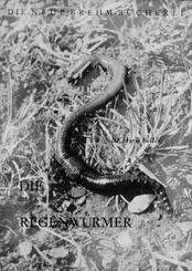 Die Regenw&uuml;rmer