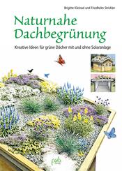 Unser blühendes Dach