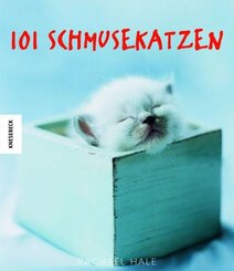 101 Schmusekatzen, Kleine Ausgabe