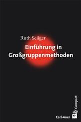 Einf&uuml;hrung in Gro&szlig;gruppenmethoden