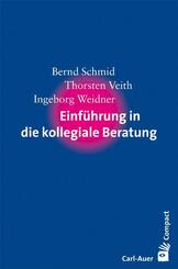 Einf&uuml;hrung in die kollegiale Beratung