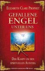 Gefallene Engel - Der Kampf um den spirituellen Aufstieg