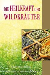 Die Heilkraft der Wildkr&auml;uter