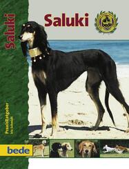 Saluki