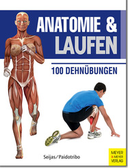 Anatomie & Laufen