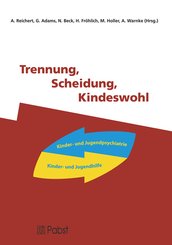 Trennung, Scheidung, Kindeswohl (eBook, PDF)