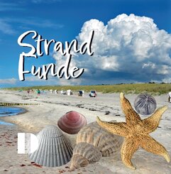 Strandfunde am Ostseestrand
