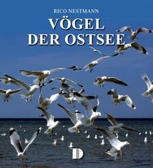 V&ouml;gel der Ostsee