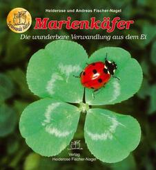 Marienk&auml;fer