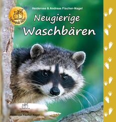 Neugierige Waschb&auml;ren